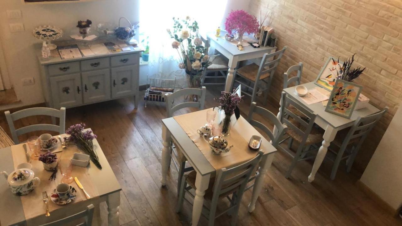 B&B Domar Civitanova Marche Exterior foto